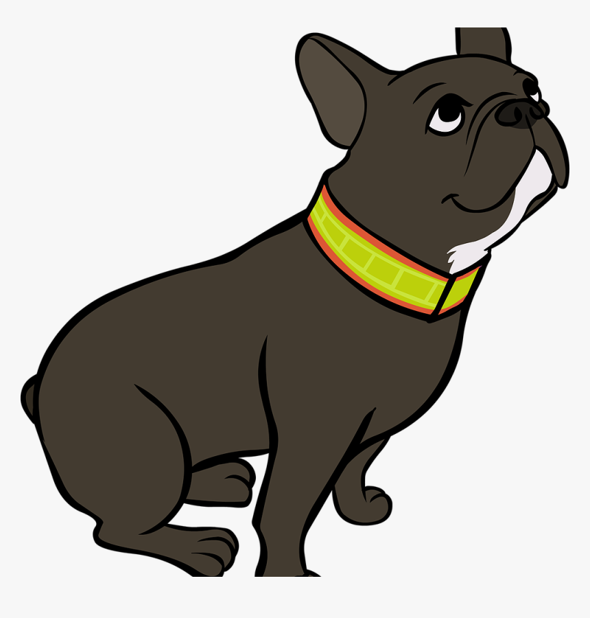 Companion Dog, HD Png Download