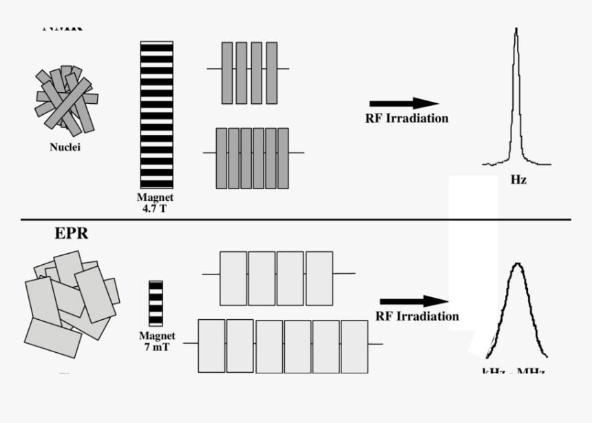 Diagram, HD Png Download