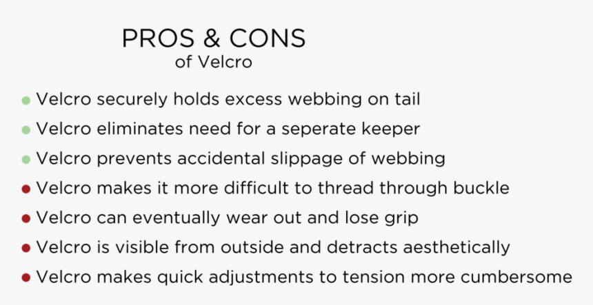 Cranial Nerves, HD Png Download