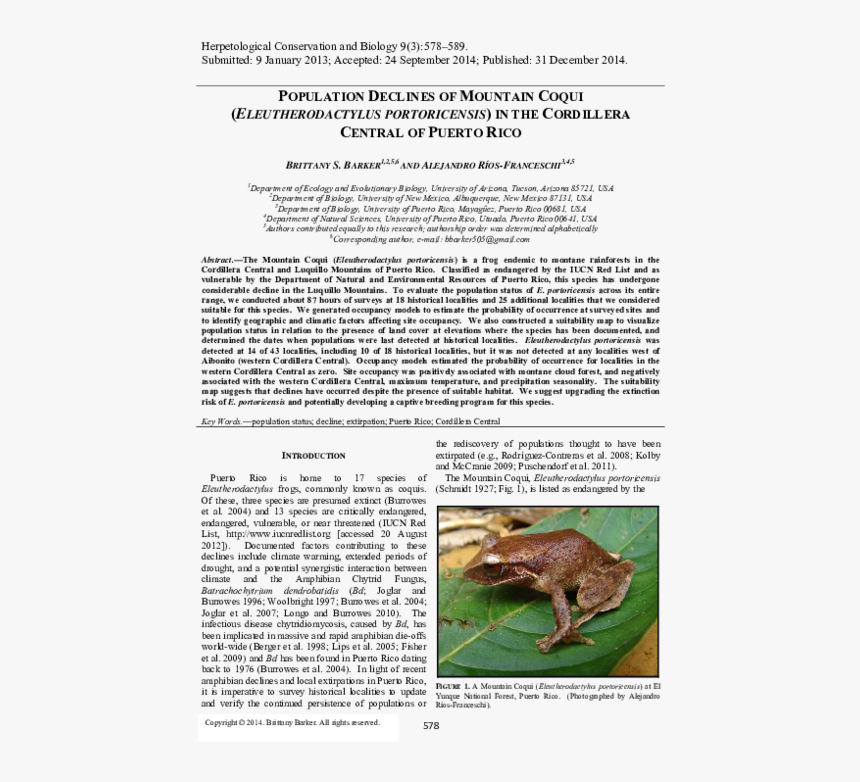 Cane Toad, HD Png Download