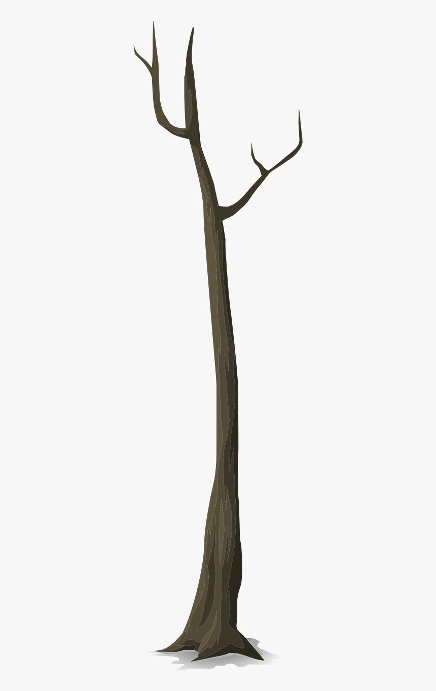 Forest Tree Stem Clipart, HD Png Download