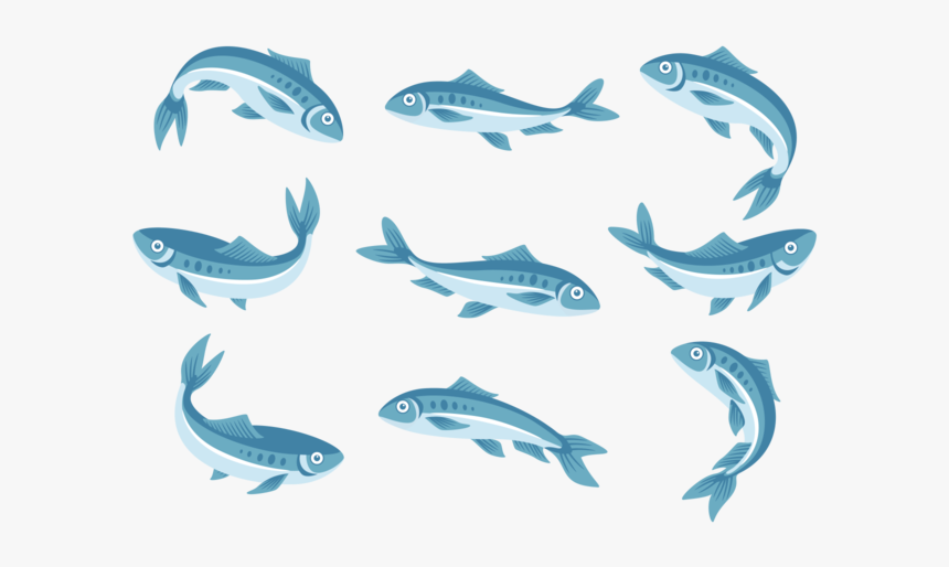 Sardine Icons Vector - Sardines Clipart Png, Transparent Png