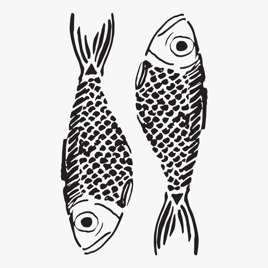 Facetune - Sardine Illustration Png, Transparent Png