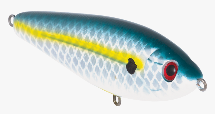 Transparent School Fish Png - Wrasses, Png Download