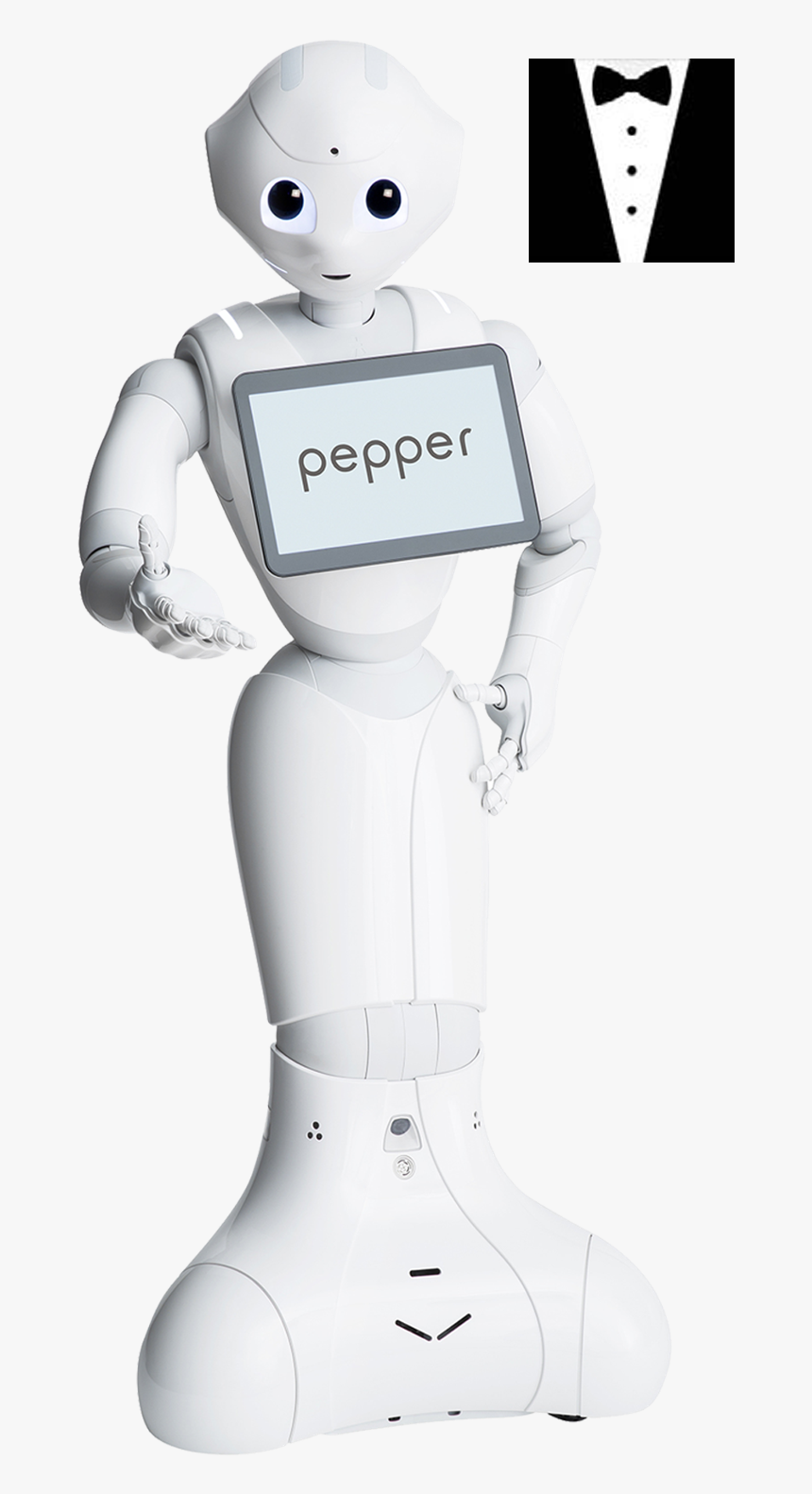Artificial Intelligence Pepper Robot, HD Png Download