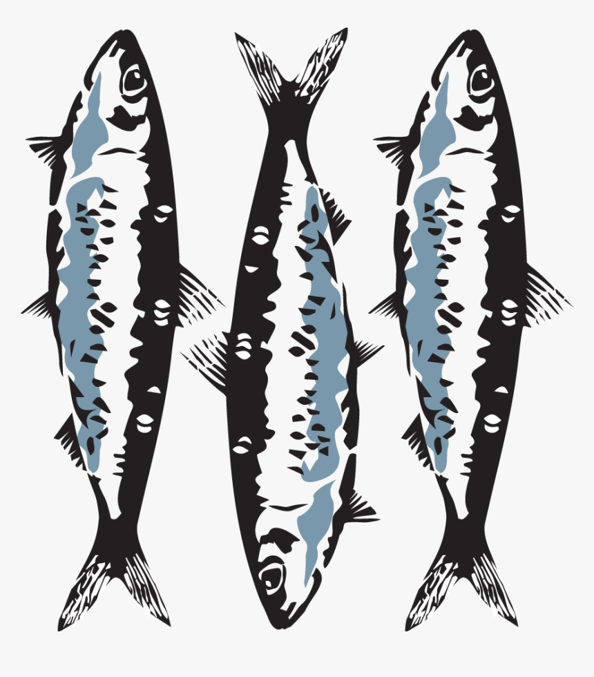 Sardine - Marine Mammal, HD Png Download