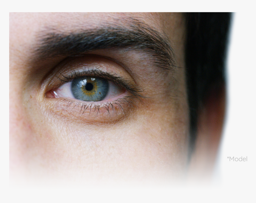 Close-up, HD Png Download
