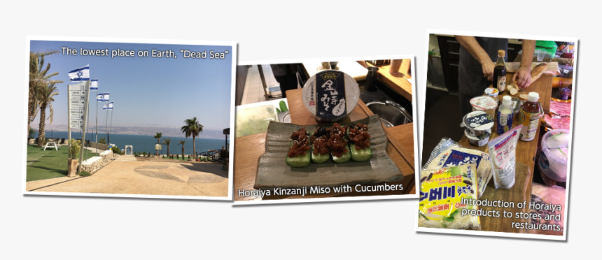 Common Fig, HD Png Download