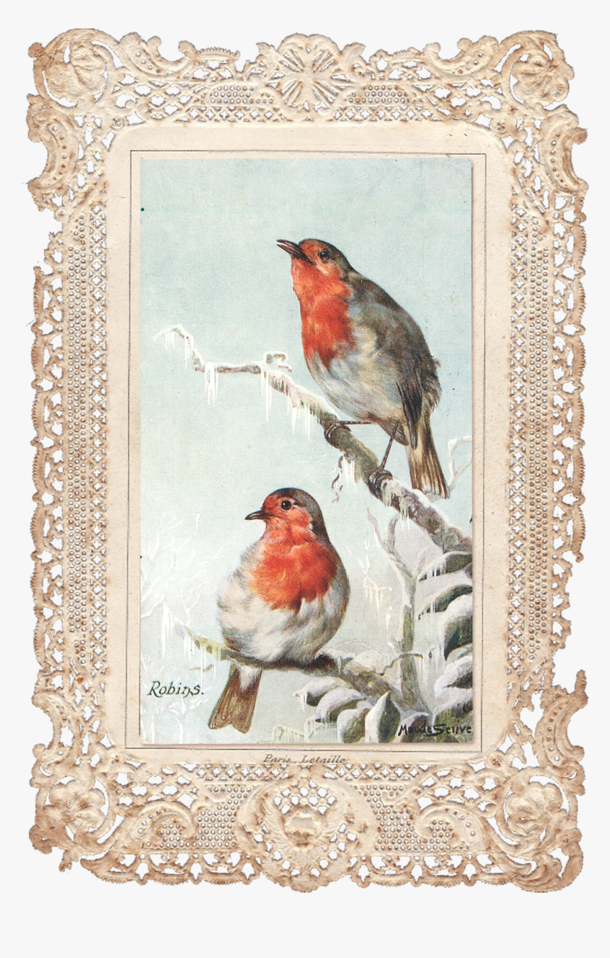 Wings Of Whimsy - Vintage Lace Frame Png, Transparent Png