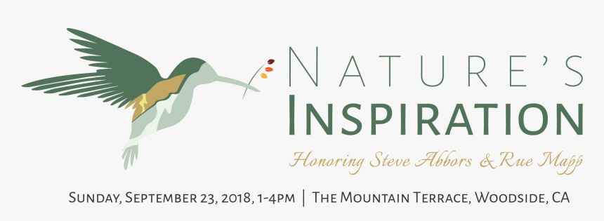 Graphic Design, HD Png Download