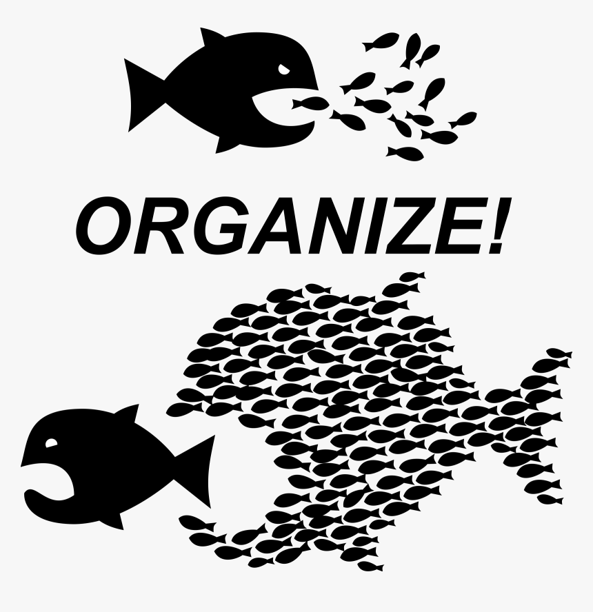 Organize Workers Unite - Organize Fish, HD Png Download