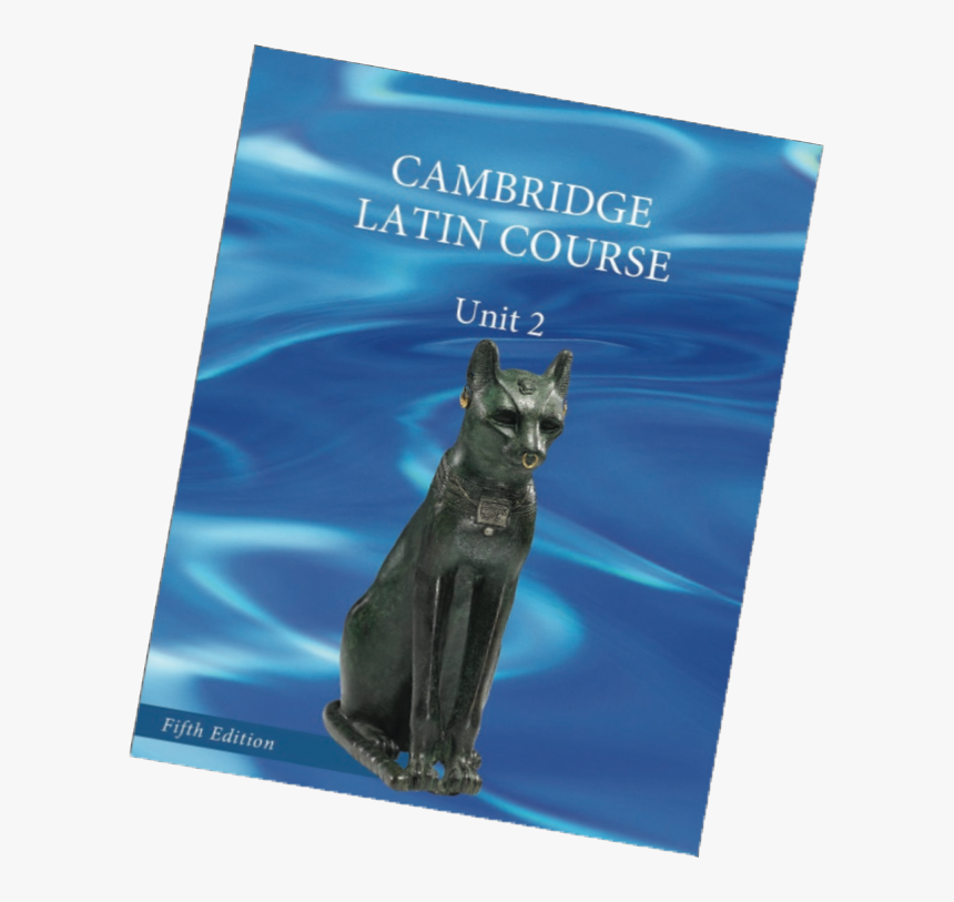 Unit 2 5th Edition Cover - Domestic Short-haired Cat, HD Png Download