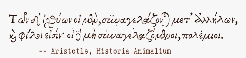 Handwriting, HD Png Download