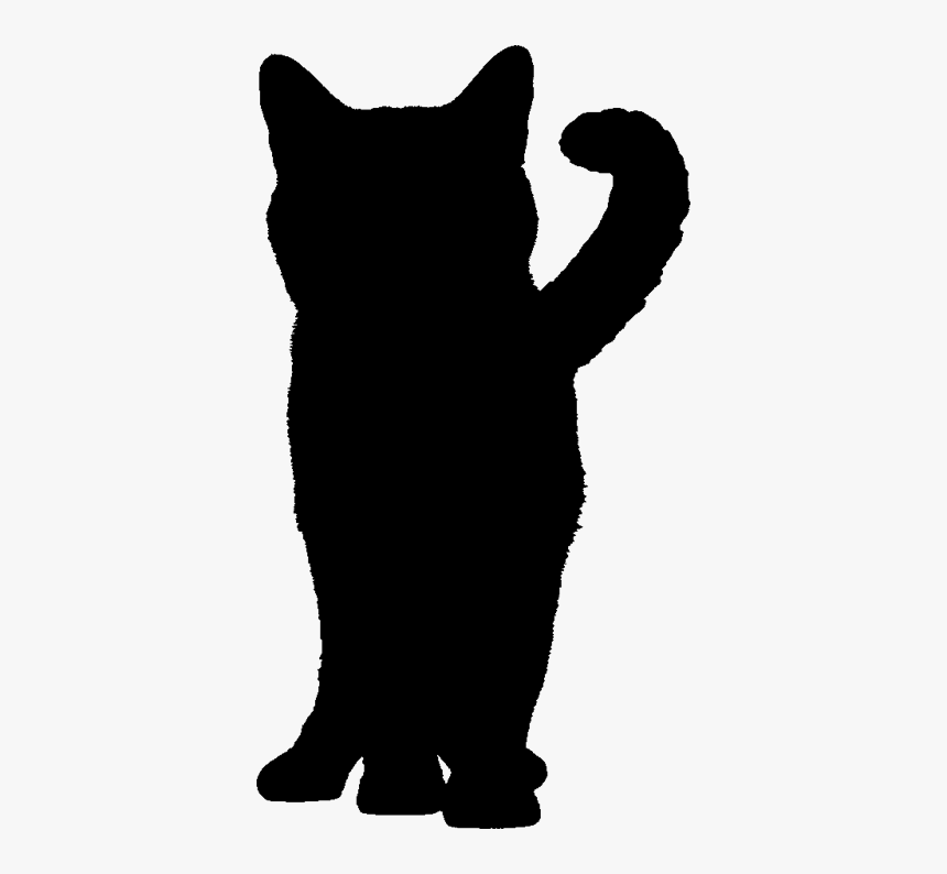 Domestic Short-haired Cat, HD Png Download