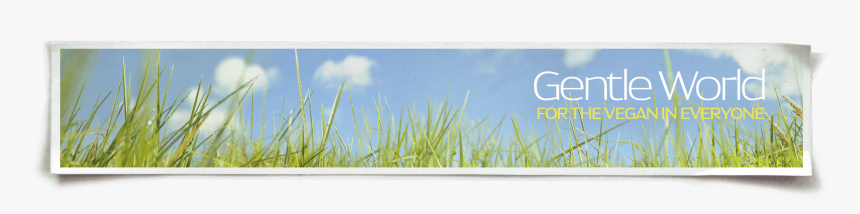 Gentle World Header Image - Grass, HD Png Download
