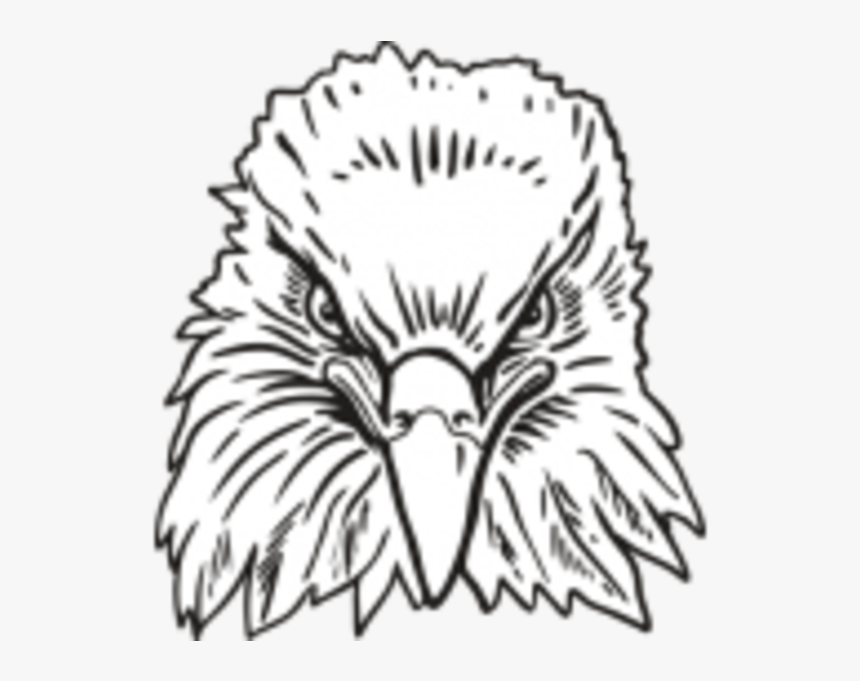 Eagle Head Front View, HD Png Download