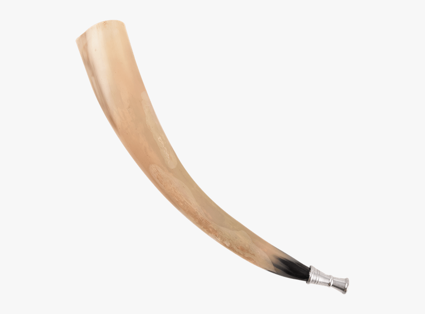 Ivory, HD Png Download