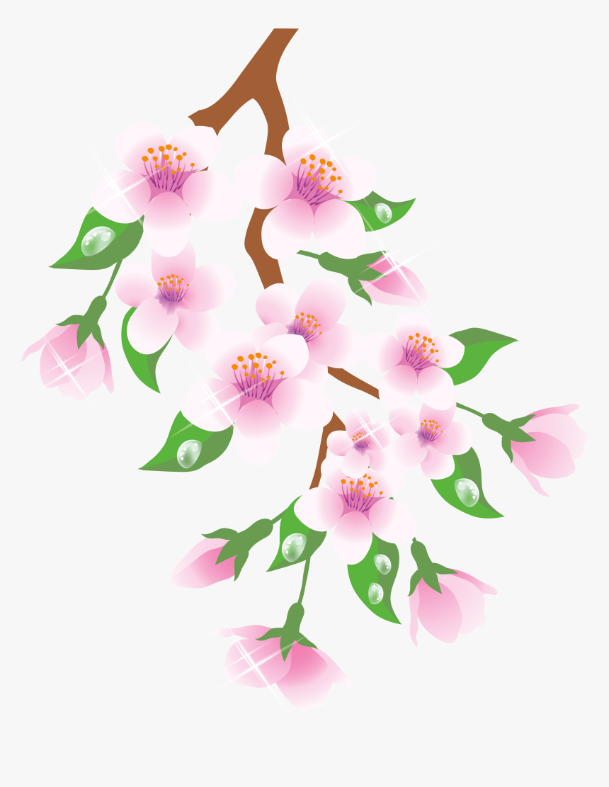 Spring Branch Pink Png Clipart - Spring Branch Clipart, Transparent Png