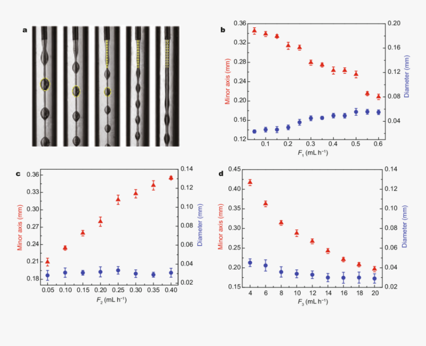 Diagram, HD Png Download