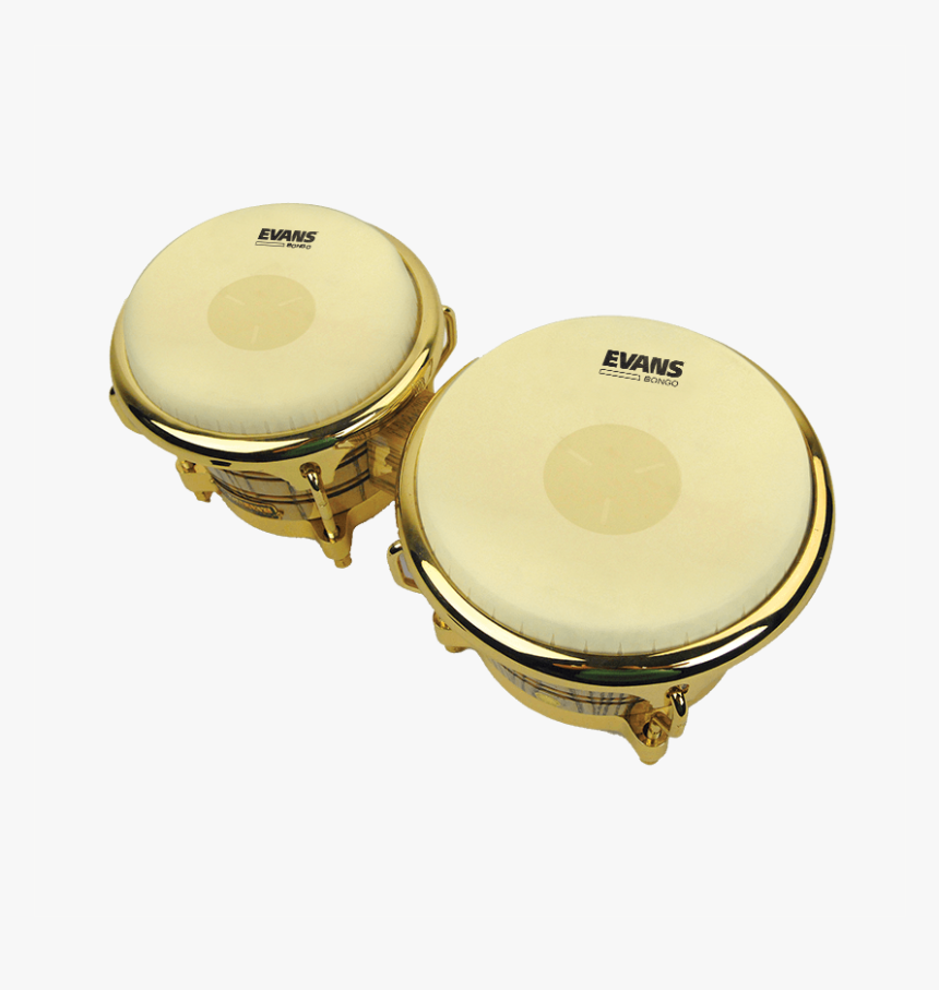 Evans Tri-center Bongo Head, HD Png Download