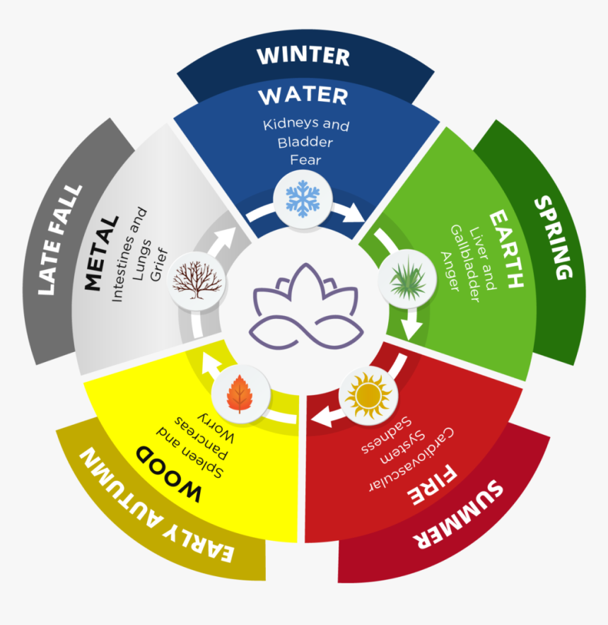 Circle, HD Png Download