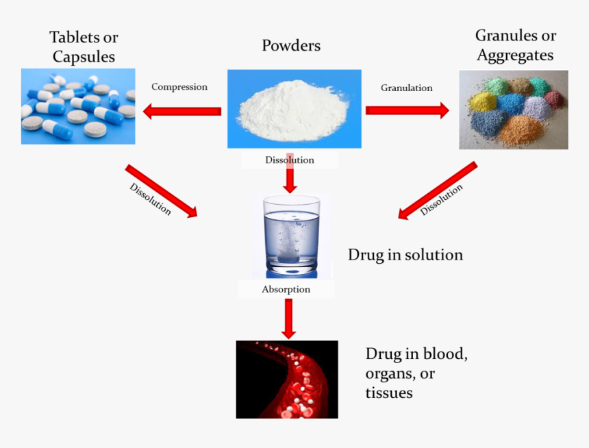 In Vitro En - Dissolution Test, HD Png Download