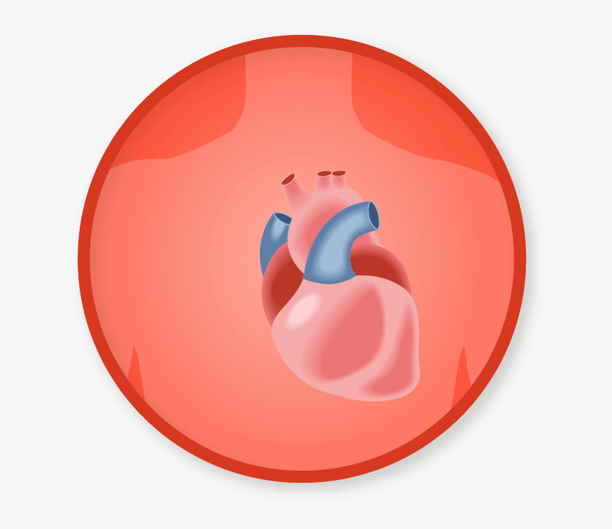 Circle, HD Png Download