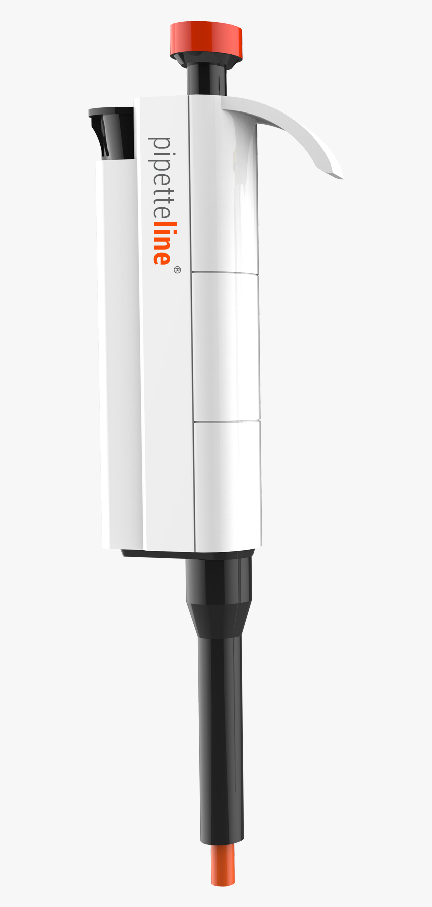 Umbrella, HD Png Download