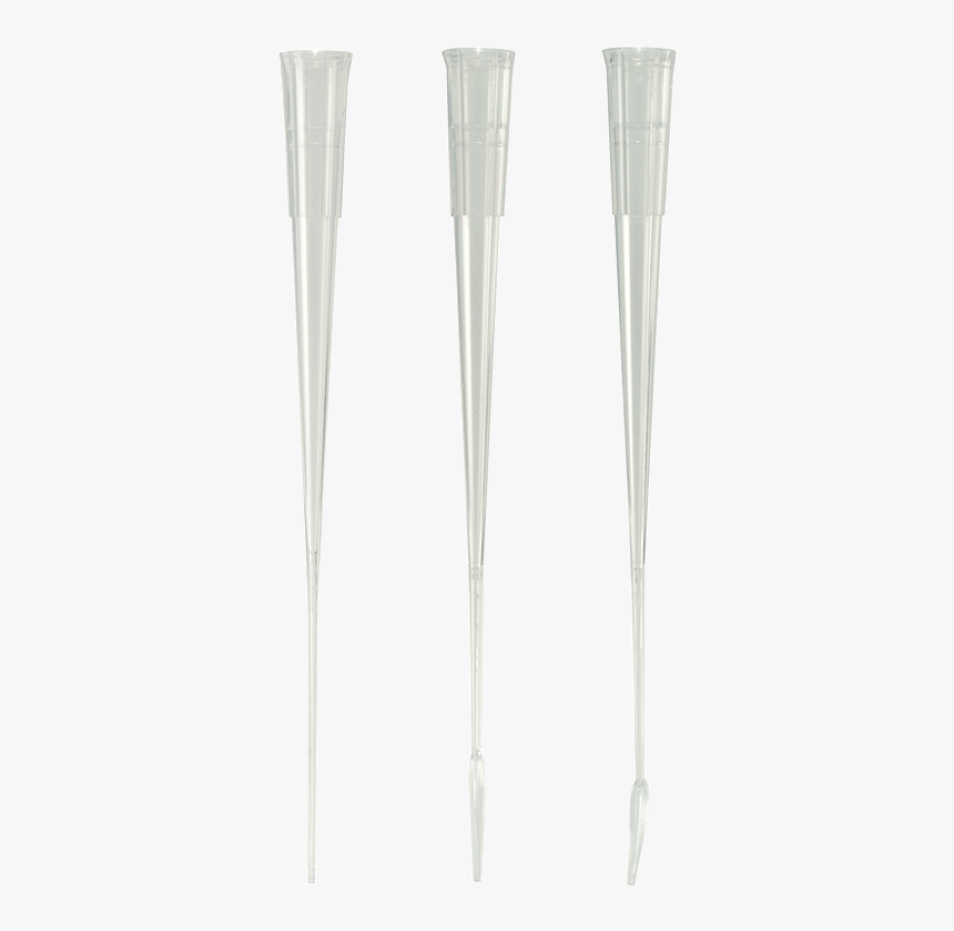 Brush, HD Png Download