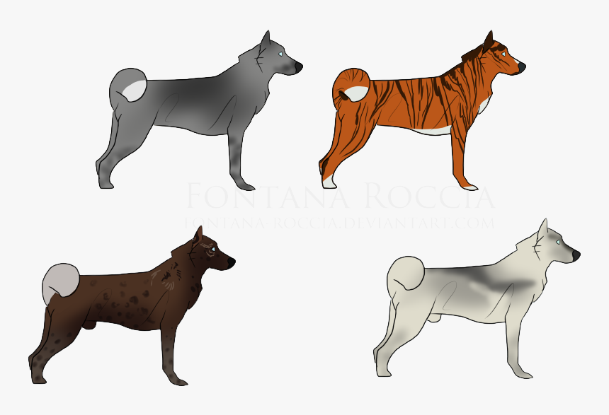 Dog Breed Finnish Spitz Shikoku Shiba Inu Siberian - Finnish Spitz, HD Png Download
