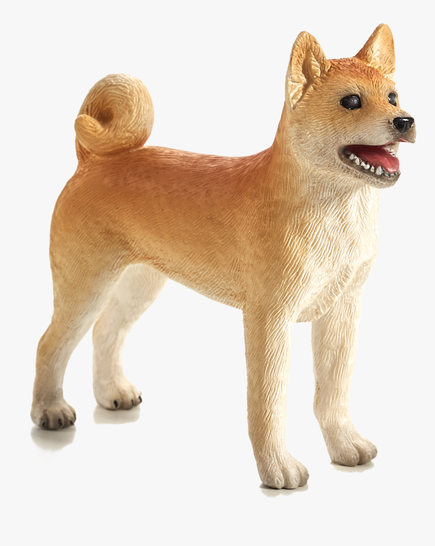 Shiba Inu Transparent, HD Png Download