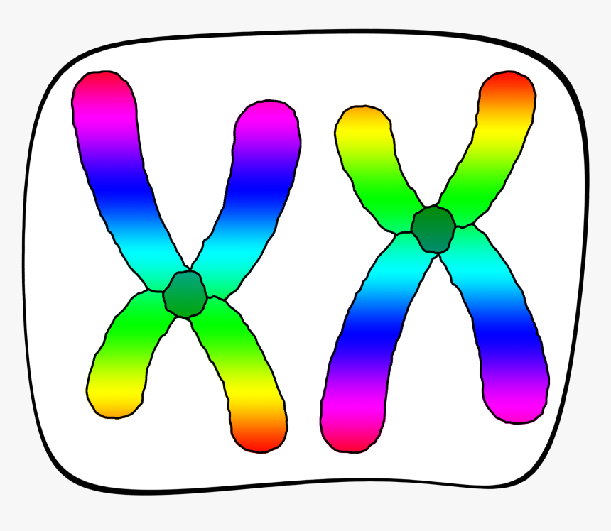 Clip Art, HD Png Download