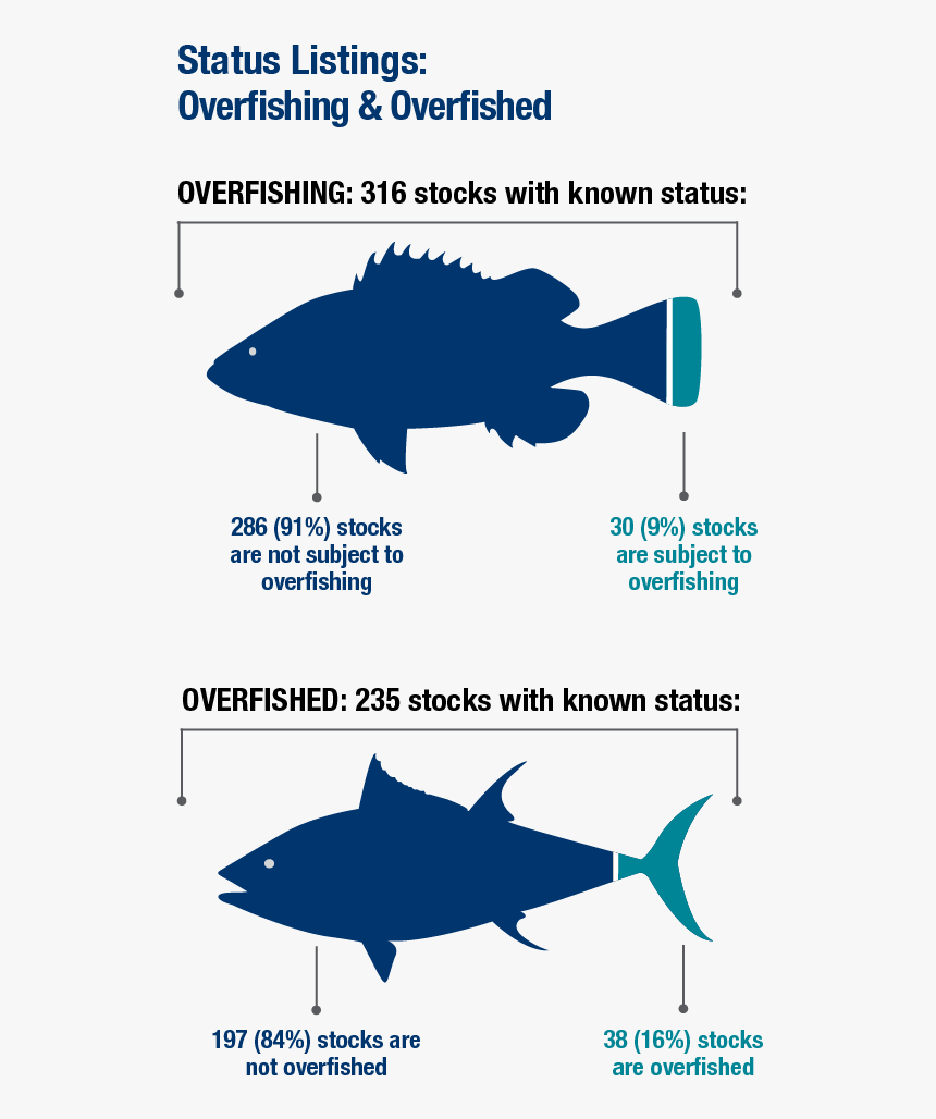 Overfished Stocks, HD Png Download