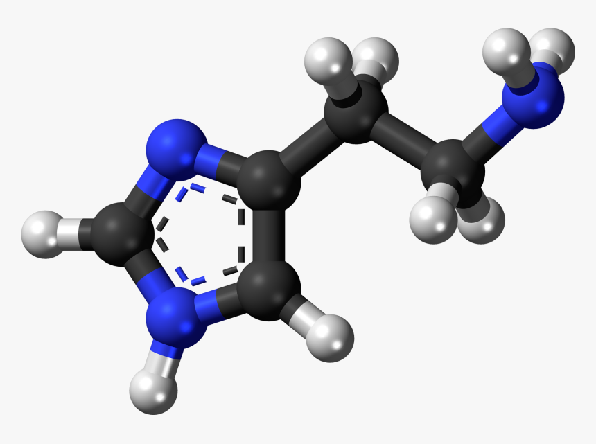 Histamine 3d Ball - Citronellol 3d, HD Png Download
