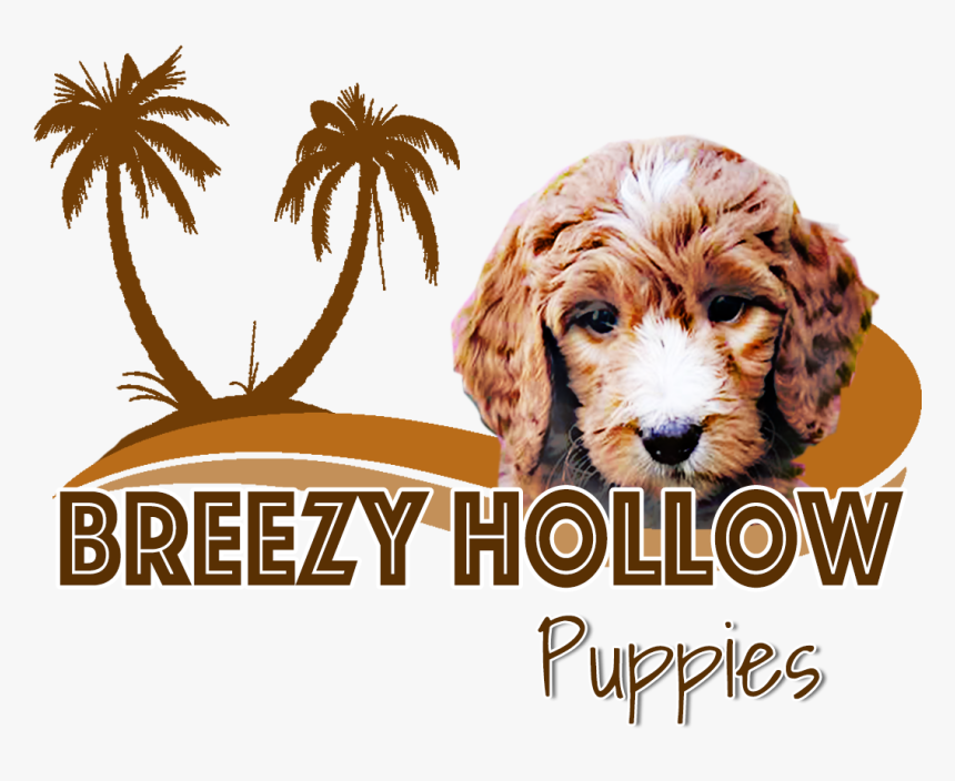 Companion Dog, HD Png Download