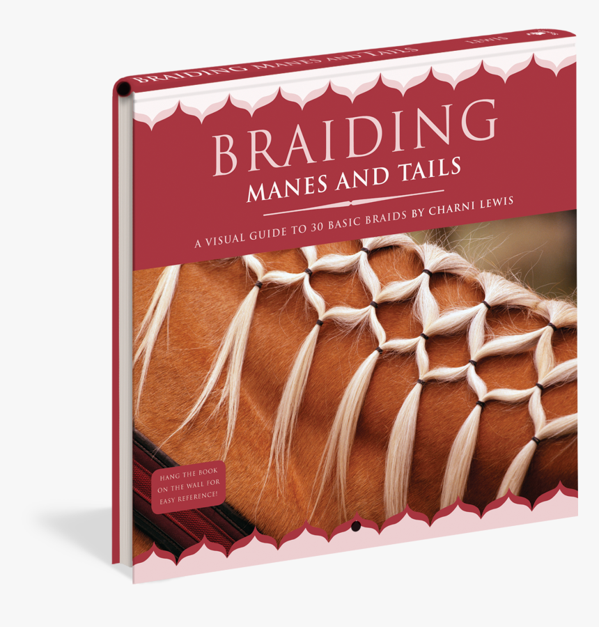 Cover - Pony Grooming Braids, HD Png Download