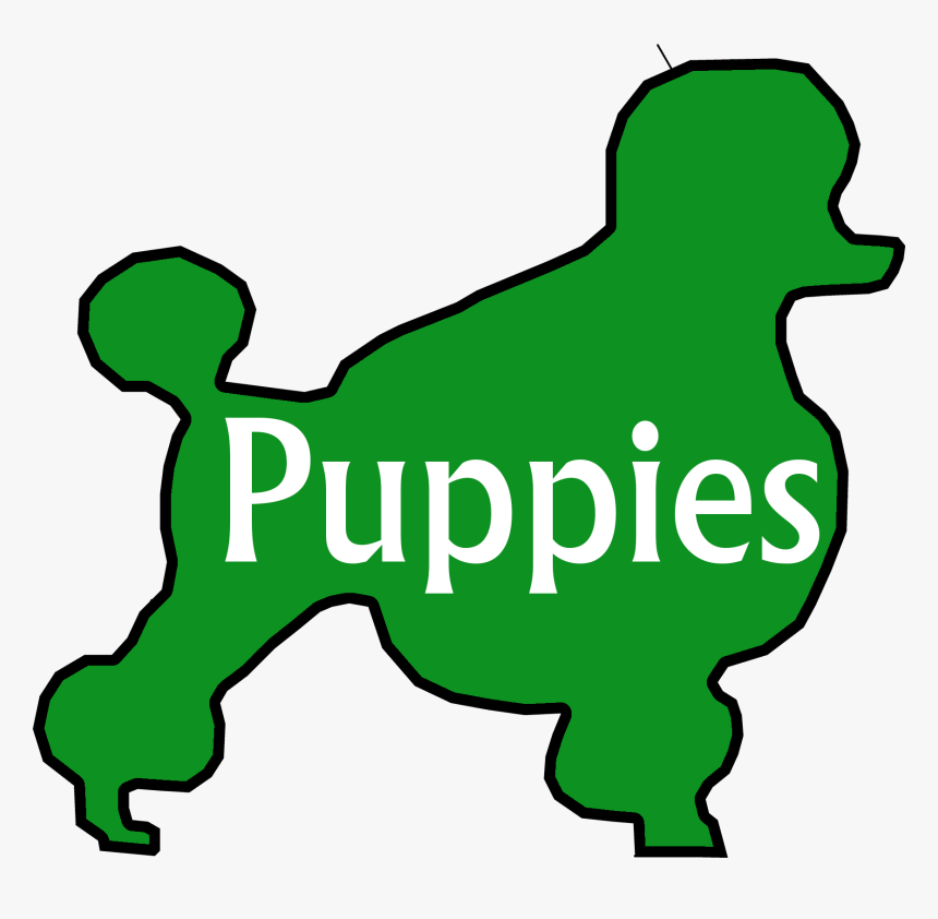 Goldendoodles Clipart , Png Download, Transparent Png