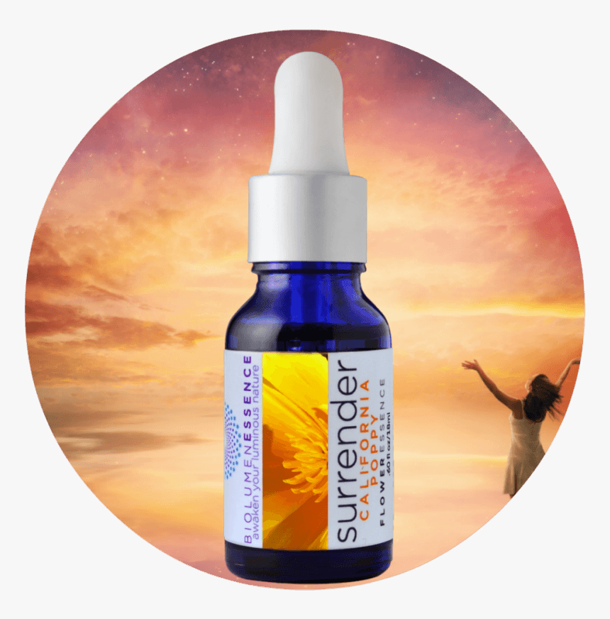 Surrender California Poppy Flower Essence - Cosmetics, HD Png Download