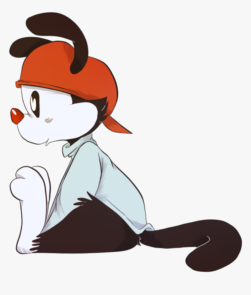 Transparent Animaniacs Png - Cartoon, Png Download