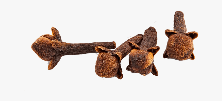 Mustang Horse, HD Png Download