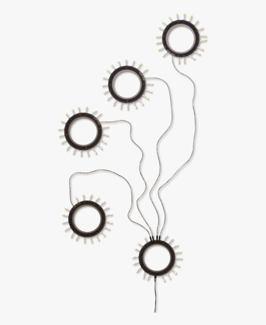 Circle, HD Png Download