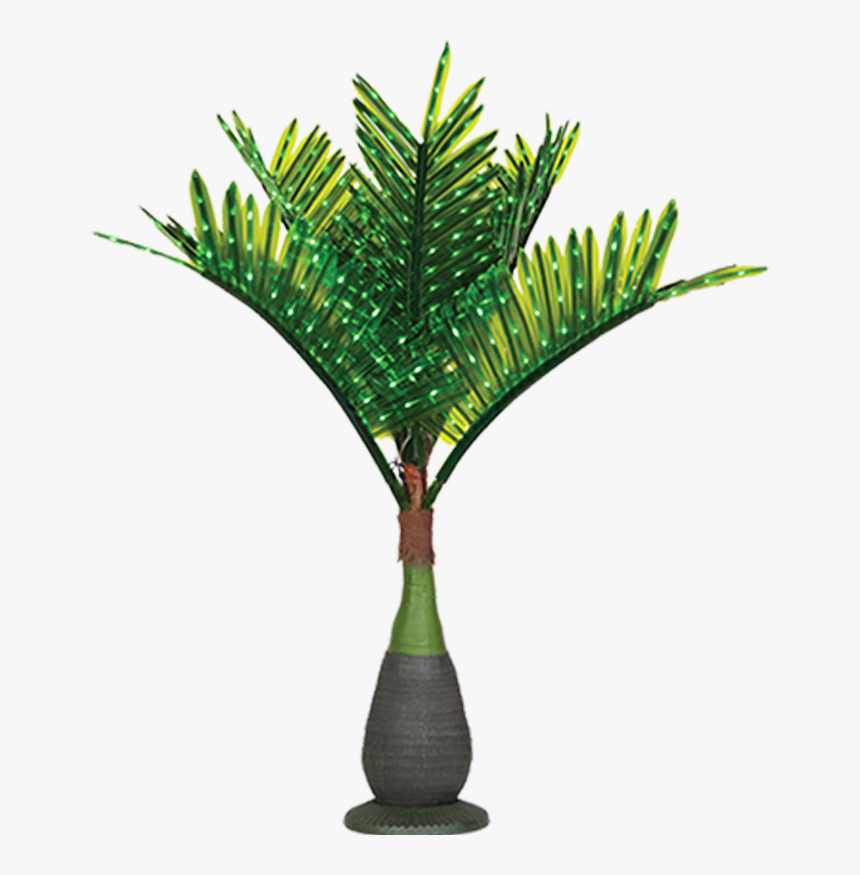 Lit Palm Trees - Bottle Palm Tree Png, Transparent Png