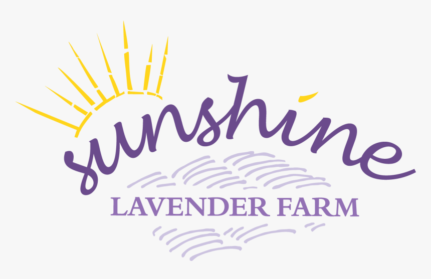 Transparent Red Design Png - Anshika Name, Png Download