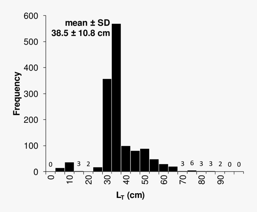 Diagram, HD Png Download