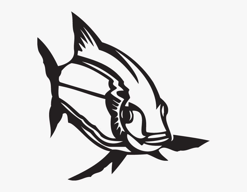Decal, HD Png Download