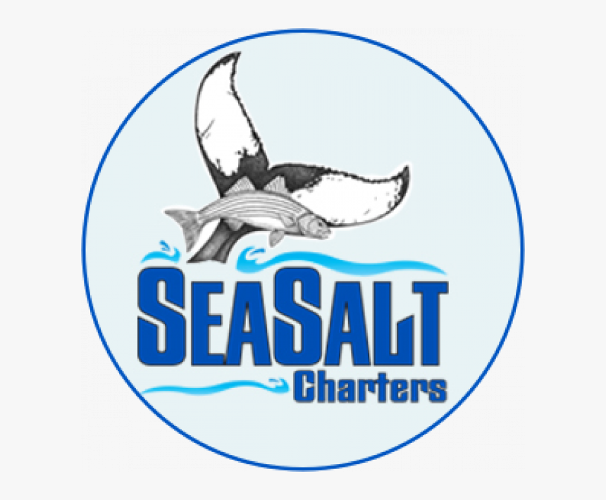 Billfish, HD Png Download