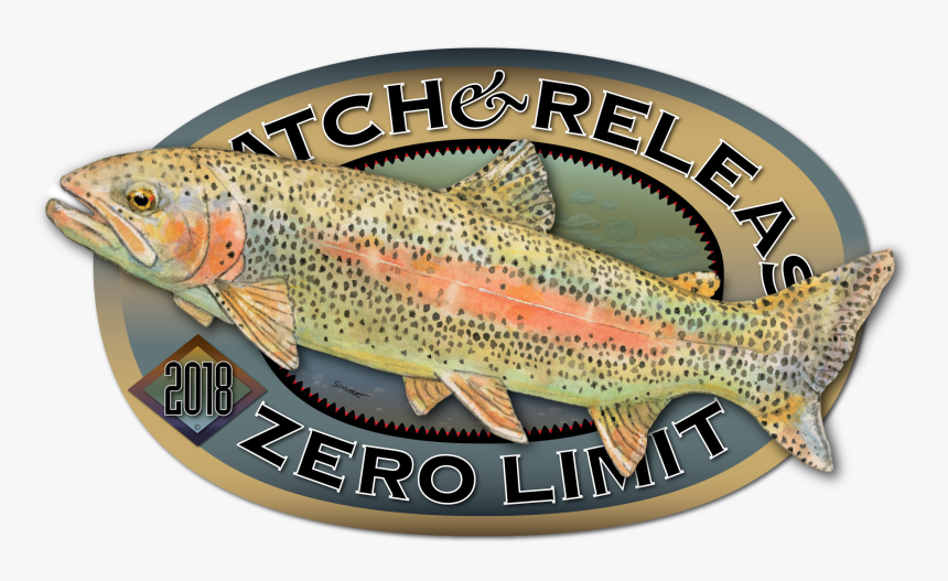 Trout, HD Png Download