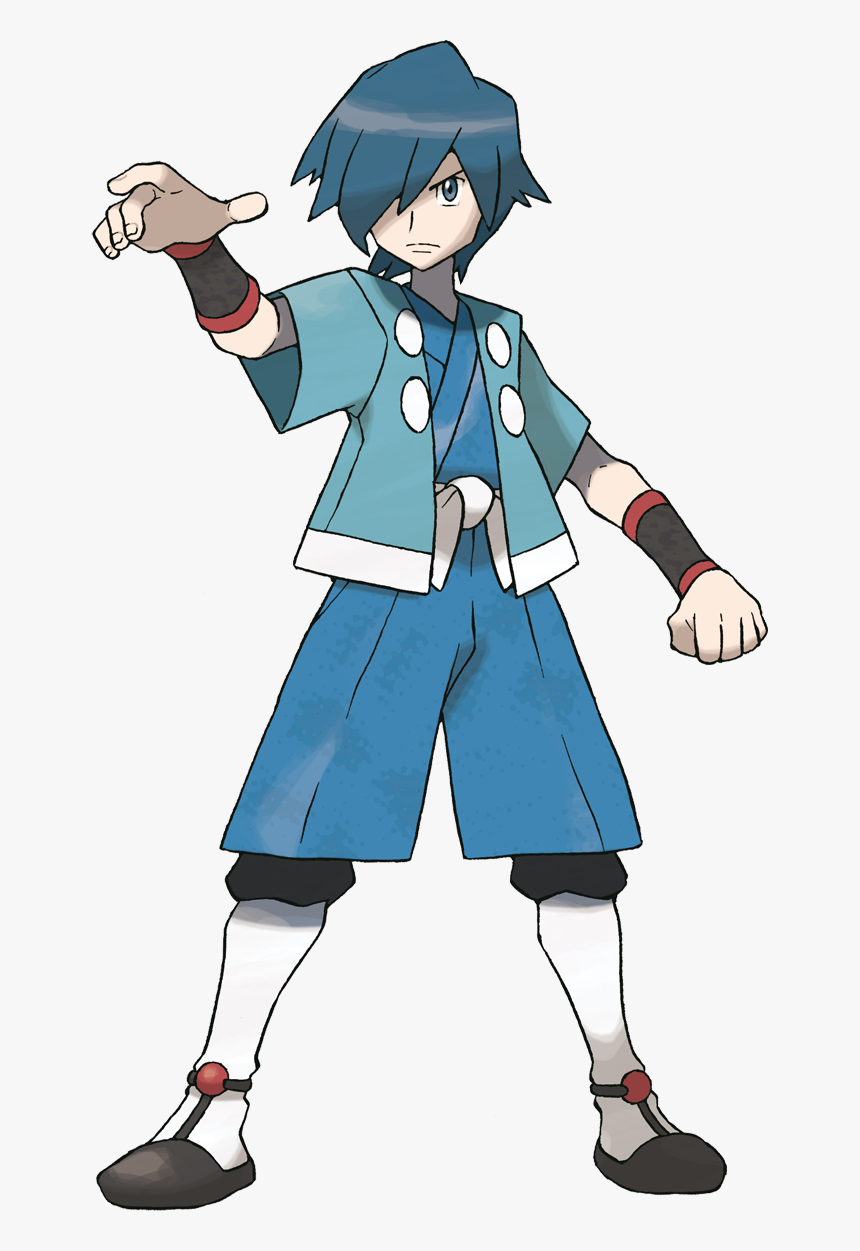Falkner Pokemon, HD Png Download