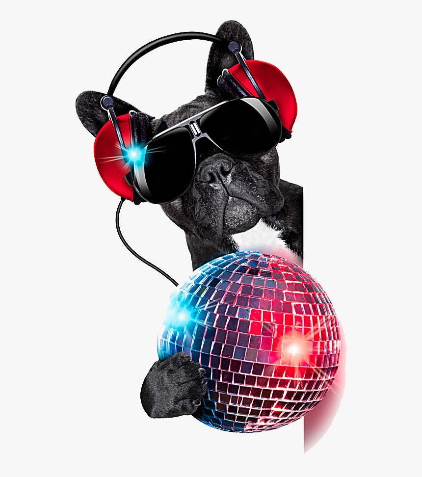 Jockey Colored Photography Dog Ball Nightclub Disc - Disco Dog Png, Transparent Png