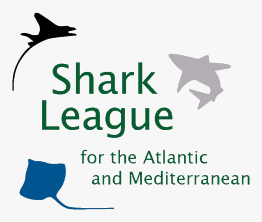 Transparent Mako Shark Png - Geek, Png Download